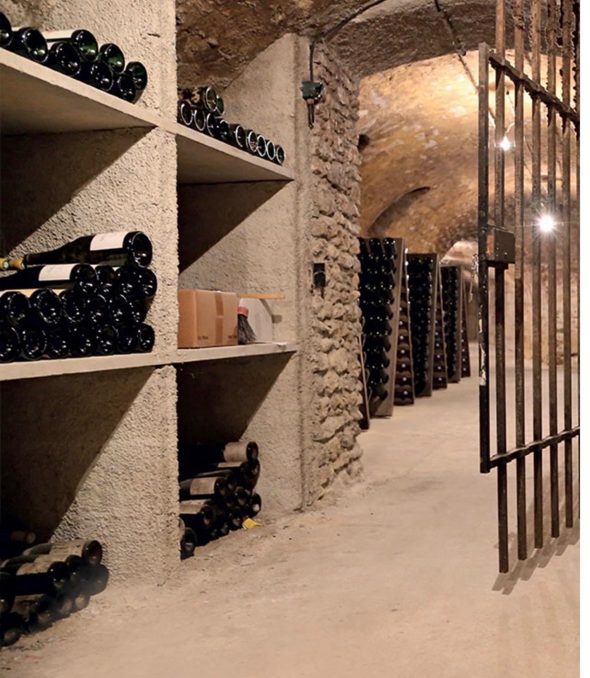 WhatsApp Image 2026-02-25 at 9.44.36 PM