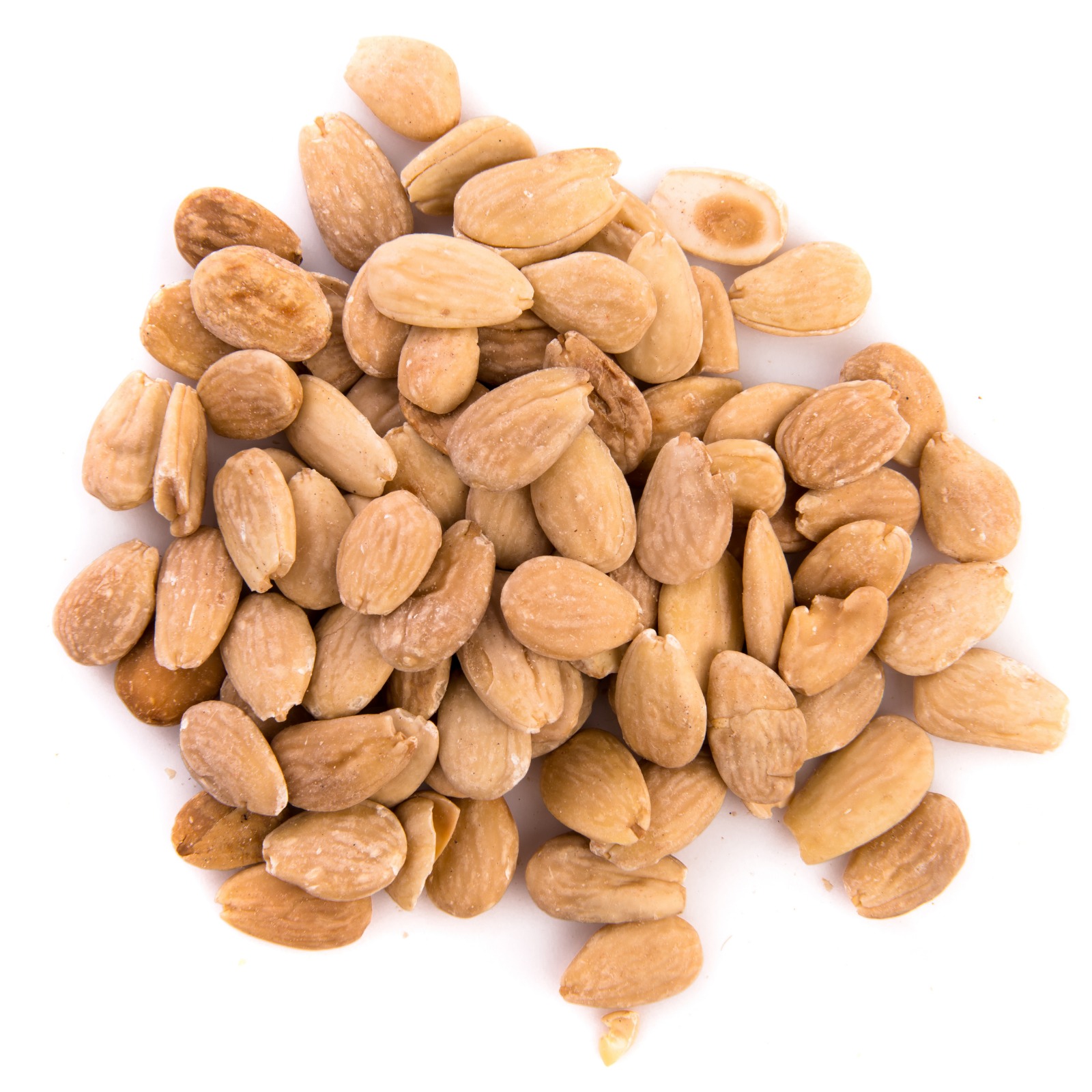 WhatsApp Image 2026-02-26 at 12.30.12 AM (1)