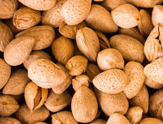 WhatsApp Image 2026-02-26 at 12.43.50 AM