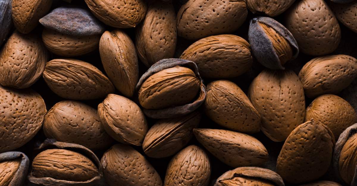 Belona Almonds2