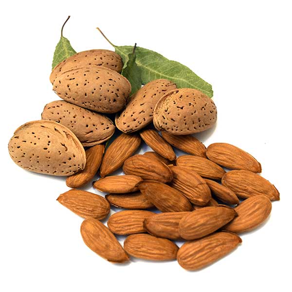 Largueta almonds